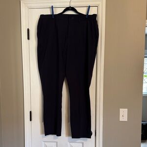 EUC Men’s Navy Public Rec Pants